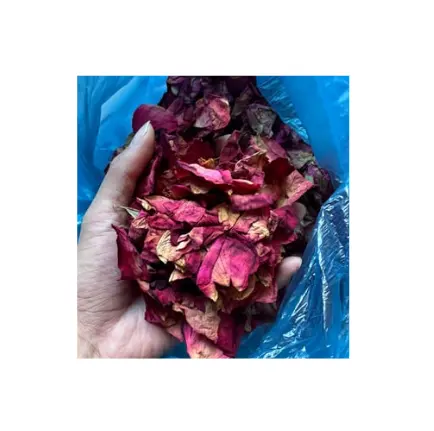सूखे गुलाब के फूल की पंखुड़ियों की चाय हर्बल चाय प्रीमियम निर्यात गुणवत्ता-सूखे गुलाब के चबूद चाय