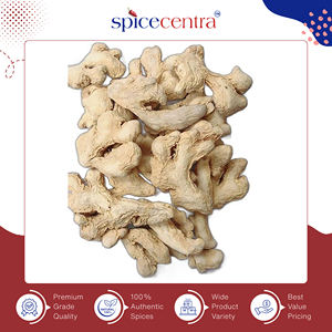 Jengibre Seco Entero Crudo 100% Puro y Auténtico de Alta Calidad para Uso Culinario, 12 Meses de Vida Útil, Precio Mínimo para Pedidos al por Mayor - Product Image 3