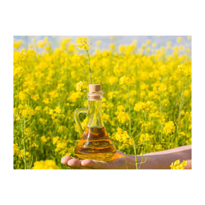 Aceite de canola orgánico de primera calidad al por mayor a granel con soporte de exportación mundial desde Canadá - Product Image 6
