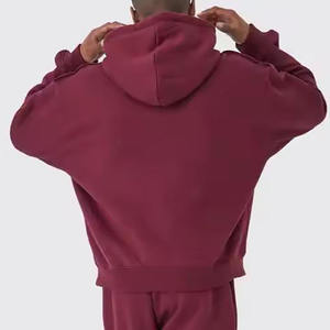 Sudaderas con capucha de buena calidad para hombre de diseño superior 2025 en stock, suministro directo de fábrica para hombre, superventas, sudadera básica de gran tamaño - Product Image 2