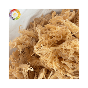 Musgo marino fresco seco natural, algas marinas de musgo irlandés sin sal para gel de musgo marino, Eucheuma Cottonii artesanal, bolsa de 25kg - Product Image 6