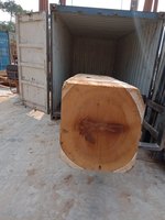 Bois de Iroko de qualité supérieure à vendre - Origine européenne, bois dur de haute qualité pour revêtements de sol et meubles