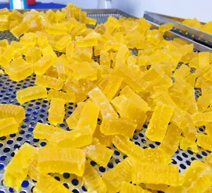 BEST PRICE SEAMOSS GUMMY BEREIT, IN BULK ZU EXPORTIEREN