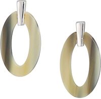 Europe et les États-Unis vente de mode géométrique HORN résine boucles d'oreilles de mode élégant haut de gamme bijoux boucles d'oreilles en gros