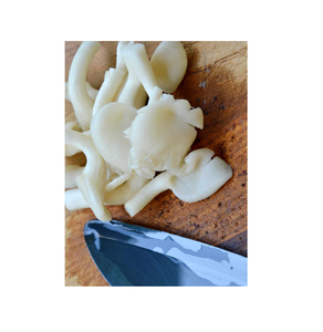 Haute qualité IQF vente en gros 1kg prix brut congelé frais blanc gris sauvage Ostreatus huître perle brun champignon Phoenix huître - Product Image 3