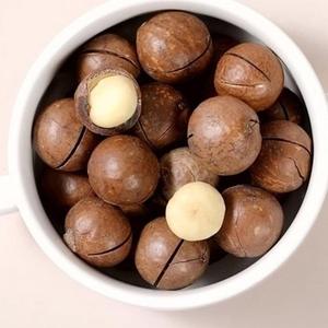 Noix de macadamia Vente en gros 10kg Noix de macadamia en vrac Coque de noix de macadamia Approvisionnement en vrac pour l'exportation au meilleur prix Qualité supérieure - Product Image 3