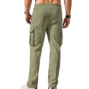 Usine OEM/ODM, vente en gros, nouveau design, pantalon cargo pour homme de haute qualité, imperméable, élastique, pour l'extérieur, avec plusieurs poches, en coton - Product Image 2