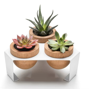 <b>Succulent</b> Planter Wood <b>Plant</b> <b>Pot</b> White Metal Stand Home Office Decor <b>Plant</b> Holder <b>for</b> Desk <b>Plant</b> Display European Indoor Use - Product Image 1