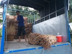 MATIÈRE PREMIÈRE DE CORDE DE HYACINTHE D'EAU SÉCHÉE EN GROS POUR PANIERS/SAC/PLACEMAT - Product Image 6