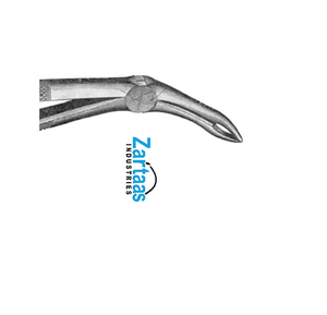 Fórceps de extracción de acero inoxidable de alta calidad Fig 42 exportadores y fabricante - Product Image 6