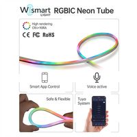 Bande lumineuse LED néon RGBIC WS2812B 5V USB, tube PVC étanche IP65, contrôle via application Tuya WiFi pour la décoration de salle de jeu