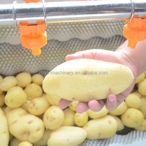 Haute vitesse gingembre pomme de terre patate douce <span class=keywords><strong>taro</strong></span> <span class=keywords><strong>racine</strong></span> de lotus orange brosse rouleau lavage machine de nettoyage - Product Image 5
