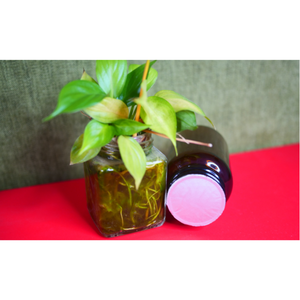 Capuchons de sécurité pour bouteilles de haute qualité, thermoscellés, découpés en deux parties, fabriqués au Vietnam, avec doublure en aluminium scellée SAM LAN - Product Image 6