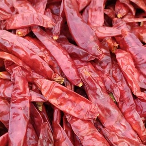 พริกแดงแห้งเครื่องเทศธรรมชาติส่งออกพริกแดง - Product Image 5