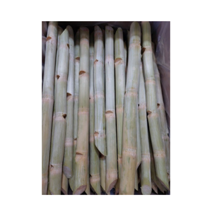 Caña de azúcar dulce congelada, caña de azúcar congelada pelada, caña de azúcar vietnamita de buena calidad, caña de azúcar importada de 99 Gold Data - Product Image 2
