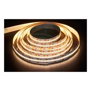 High Bright 240LEDs/m Flexível LED Corda Fita Fita Luz Lâmpada Branco Quente Azul 6000K DC12V 24V 2835 LED Strip Lights