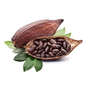 Gute Qualität Getrocknete Top Grade Kakaobohnen Kakaopulver Kakaobutter/Kakao/Schokoladen bohne
