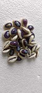 Conchas de mar de cauri moradas naturales hechas a medida con agujero para diseñadores de joyas y Tiendas de Cuentas para reventa - Product Image 6