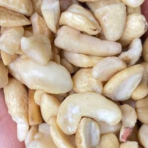 Anacardos Santigo crudos de Vietnam, proveedor de confianza de Vietnam, anacardos Jumbo al por mayor de 240, exportados a Asia, UE, ORIENTE MEDIO - Product Image 1
