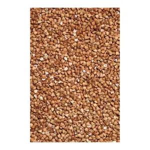 Gluten-Free Organic Black Tartary Buckwheat Tea Price for Wholesale Roasted Buckwheat Tea Bulk Buckwheat Wholesale With Best Pr