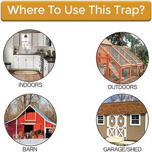 Trappola per Topi in Plastica Moderna con Kit Multi-Cattura in Grande Contenitore per Uso Domestico - Product Image 6