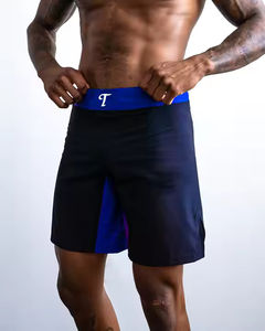 Fabricante Kickboxing Grappling Jiujitsu Entrenamiento Judo Boxeo Kick Boxing Short Tamaño grande Muay Thai Tela BJJ Mma Shorts - Product Image 6