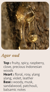 Candela di Lusso Moderna Artigianale per Aromaterapia Agar Oud 15cl con Logo Personalizzato, Cilindro in Cera Mista Prodotto in Francia - Product Image 5