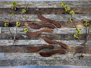 Couteau à beurre en bois naturel miniature écologique, très vendu - Product Image 5