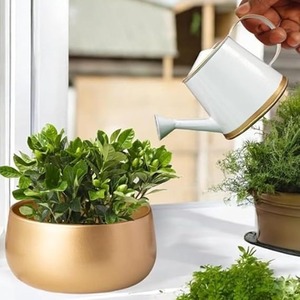 1.5L Black Finish Metal <b>Water</b> <b>Can</b> for Outdoor Gardening Household Garden Watering Device with Plant Decoration - Product Image 2