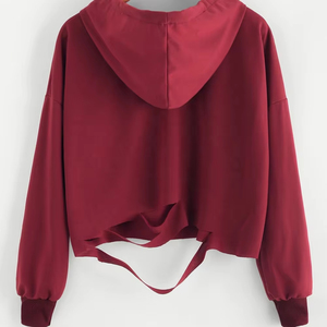 Prix d'usine Pulls à manches longues pour femmes en coton Sublimation Hoodies en gros OEM Personnalisé Crop Top Hoodies pour femmes pour l'automne - Product Image 2