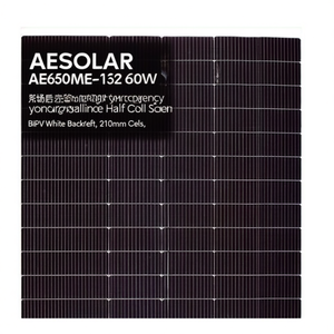 แผงโซลาร์เซลล์ AESOLAR AE650ME-132 600W ประสิทธิภาพสูง โมโนคริสตัลไลน์แบบฮาล์ฟเซลล์ แผงหลังสีขาว BIPV เซลล์ขนาด 210 มม. - Product Image 2
