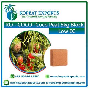 Venta al por mayor mejor calidad orgánico cocopeat puro Coco turba 100% fábrica directa de la India bloque cocopith Coco polvo para uso agrícola - Product Image 3