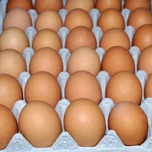 ไข่ไก่สดคุณภาพพรีเมียมจากฟาร์ม  อายุการเก็บรักษายาวนาน  รับผลิตแบรนด์ OEM สำหรับขายส่ง ขายปลีก และส่งออก - Product Image 3
