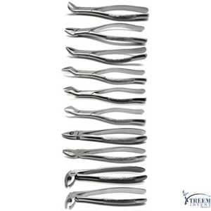 Ensemble de 10 forceps d'extraction dentaire réutilisables, instruments manuels d'extraction de dents en acier et métal - Product Image 3