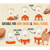 Mangeoire à poussins réglable en hauteur HEYBO, mangeoires et abreuvoirs en plastique pour volailles, mangeoire et abreuvoir automatiques pour poulets