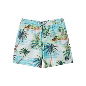 Men Beach Shorts Quick Dry Polyester Swim Shorts Lightweight Breathable Summer Surf Board Shorts <b>Elastic</b> Waist Swimwear OEM - Product Image 6