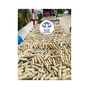 PEPINO DE MAR DE PESCADO DE CURRY SECO DE VIETNAM Precio de diferentes tamaños Entrega rápida por aire Caja negra Estilo de artículo - Product Image 1