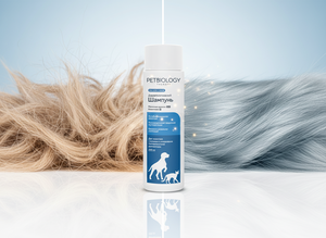 Shampoo thérapeutique Premium PetBiology, formule douce à l'acide lactique et à l'allantoïne, en flacon plastique pour chiens et chats, 250 ml - Product Image 6