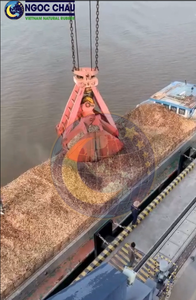 NGOC CHAU Bulk Dried Pine Wood Chips-Sustainable Source From Ho Chi Minh City for <b>Renewable</b> <b>Energy</b> - Product Image 4