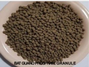 Engrais organique Komodoin, guano de chauve-souris, phosphate en poudre, libération contrôlée, 18-27% P2O5, max 5-9% d'humidité, min 70% soluble, acide citrique - Product Image 3