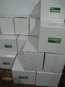 Aperitivo funcional nutritivo de Guanábana seca suave de superfruta tropical de Vietnam adecuado para consumidores conscientes de la salud en todo el mundo - Product Image 6