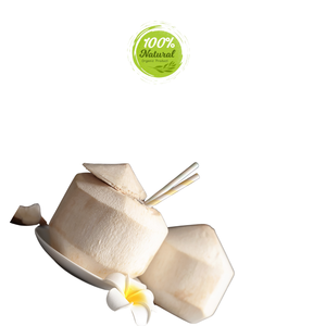 Noix de coco pelée au diamant Produit agricole populaire pour les festivals d'été - Product Image 4