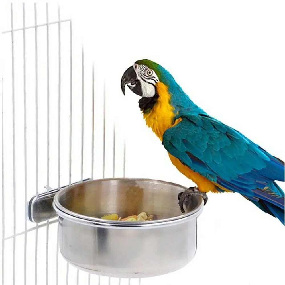 Coop Cup Acier inoxydable avec pince Suspendue Oiseau Perroquet Bol d'alimentation pour eau Nourriture Mangeoire