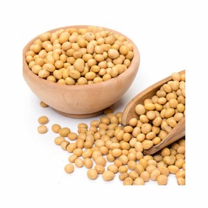 Soja jaune en vrac de culture biologique et OGM Soja entier séché pour la vente en gros - Product Image 3