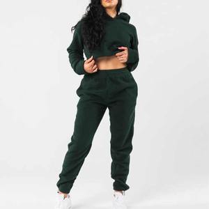 Femmes décontracté hiver deux pièces sweat ensemble à capuche haut court sweat avec taille haute long sarouel survêtement tenues survêtement - Product Image 2