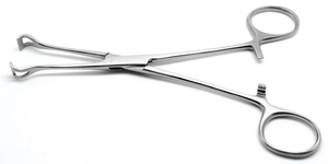 Pinzas Babcock Profesionales, Instrumentos Quirúrgicos de Acero Inoxidable de Alta Calidad, Pinzas Babcock para Esponjas, Acero Inoxidable Alemán - Product Image 4