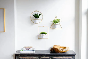 Set of 3 Gold Wall Hanging Metal <b>Plant</b> <b>Stand</b> with White Pot Herb Garden Containers for Outdoor Decoration Kitchen & Living Room - Product Image 3