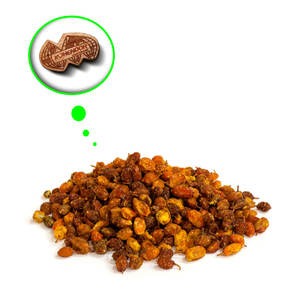 Argousier séché | Baies d'origine éthique pour les marques écologiques - Product Image 1