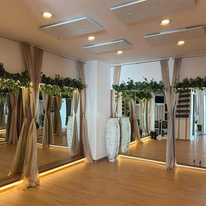 Calentador Infrarrojo de Cristal de Carbono Yoga Studio IH100-W 1000W, Eléctrico/Solar, Protección Contra Sobrecalentamiento, Sin Marco - Product Image 6