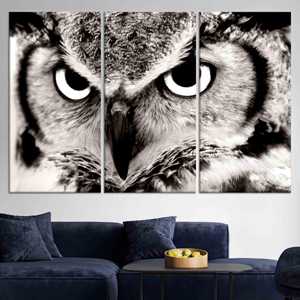 Tableau imprimé sur toile : motif animalier peint sur verre pour les amoureux des hiboux, lot de 3 toiles - Product Image 1